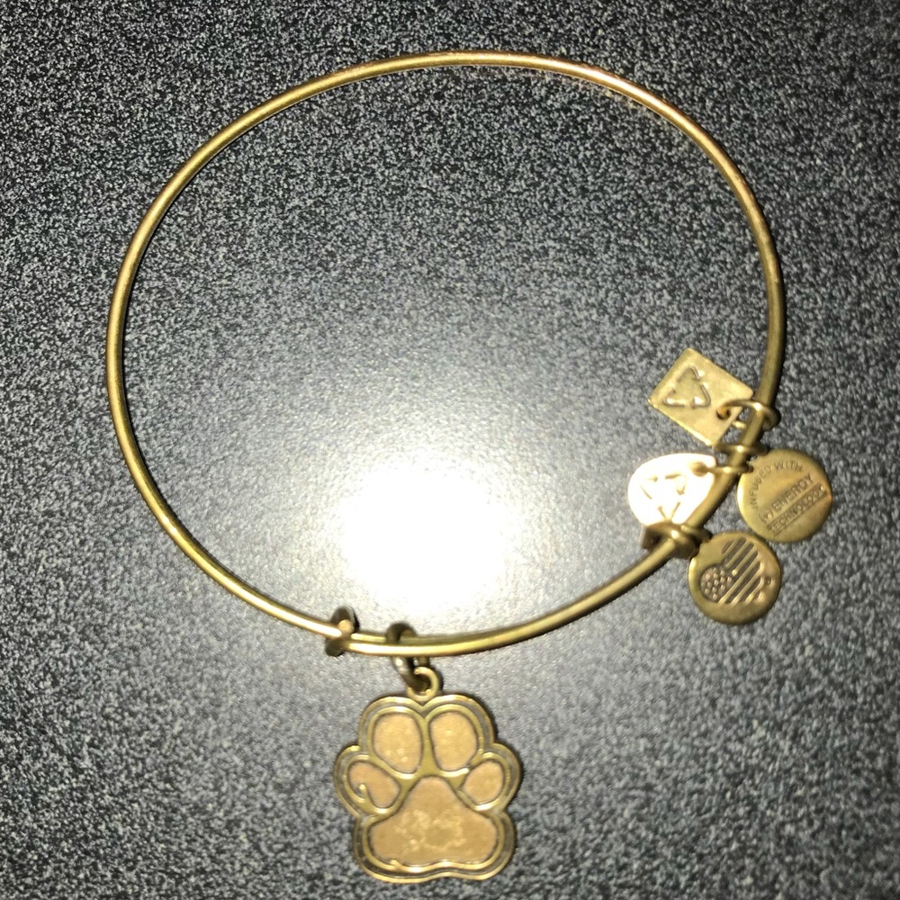ALEX AND ANI GOLD BRACELET